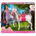 Barbie Doll and Horse, Brunette   555555697